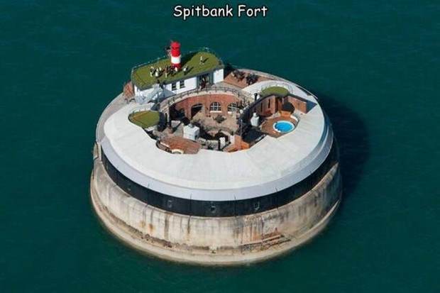 Interesting Pictures with Captions #73 (41 photos)