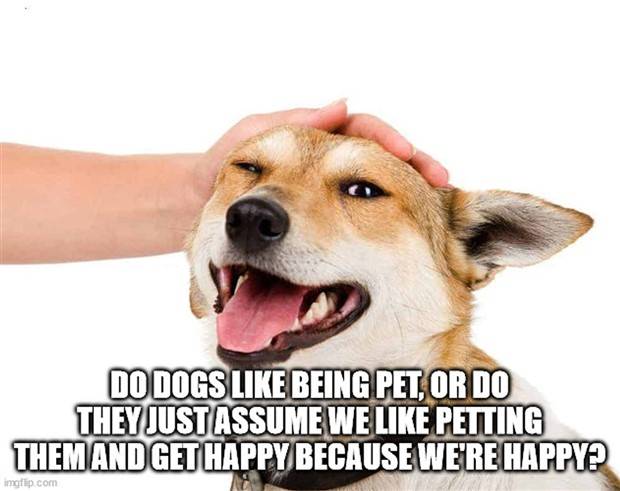 Funny Shower Thoughts #73 (39 photos)