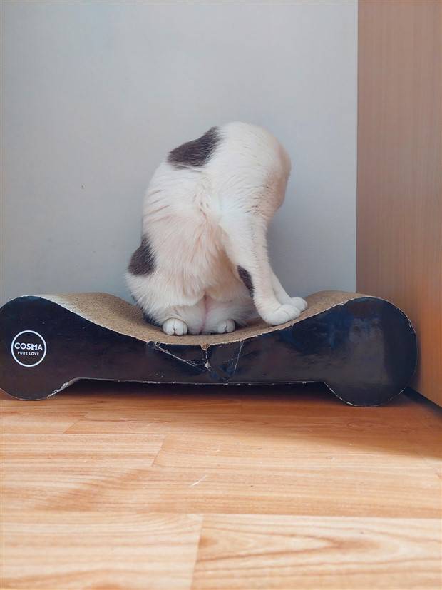 Klyker Picdump #1338 (53 photos)