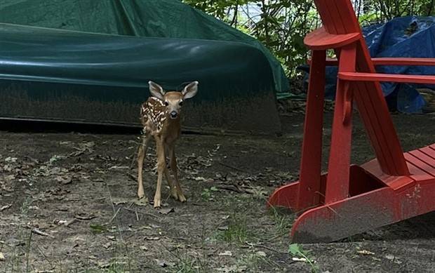 Klyker Picdump #1338 (53 photos)