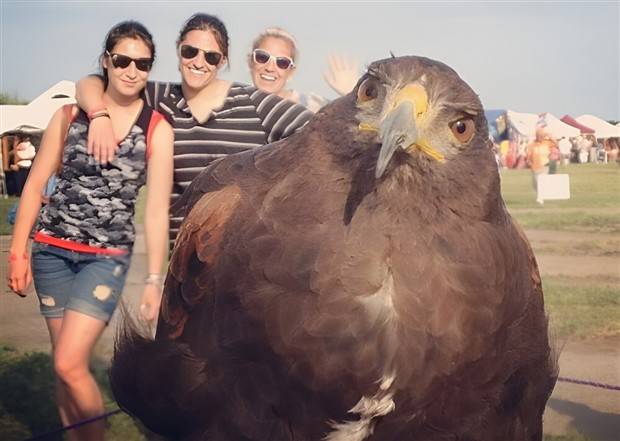 Klyker Picdump #1338 (53 photos)