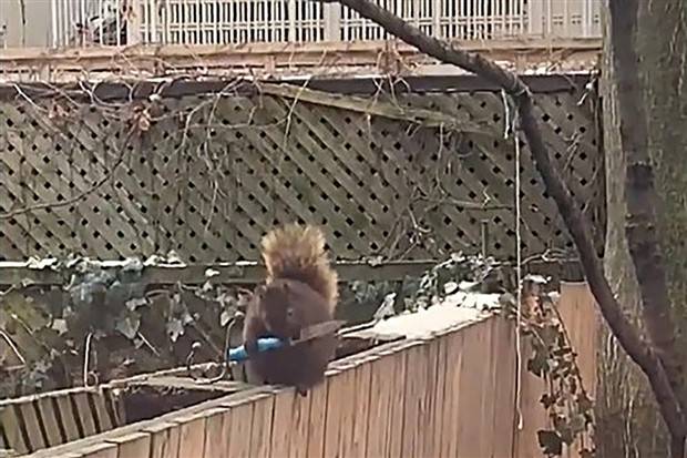 Klyker Picdump #1338 (53 photos)