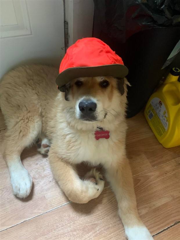 Klyker Picdump #1338 (53 photos)