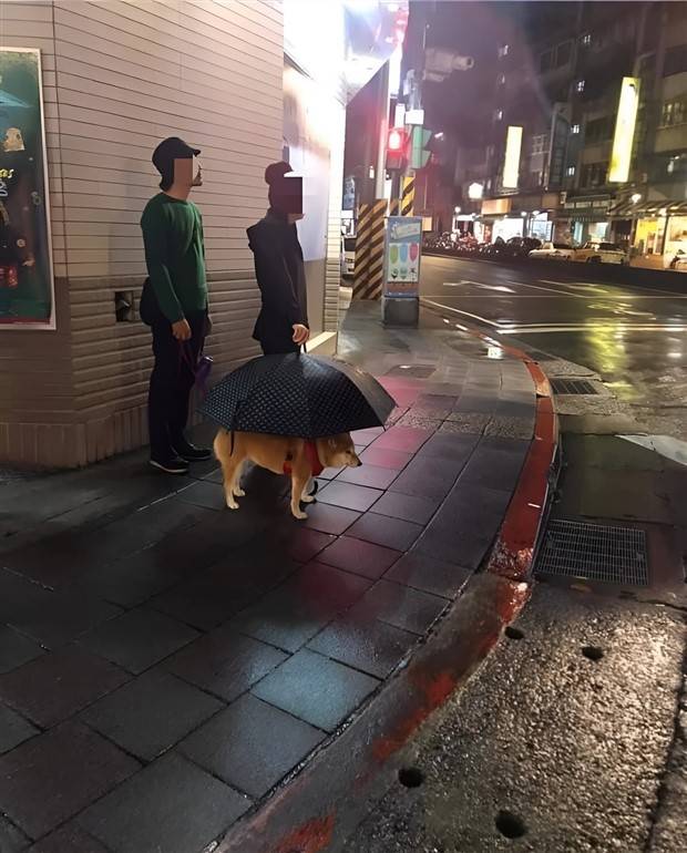 Klyker Picdump #1338 (53 photos)