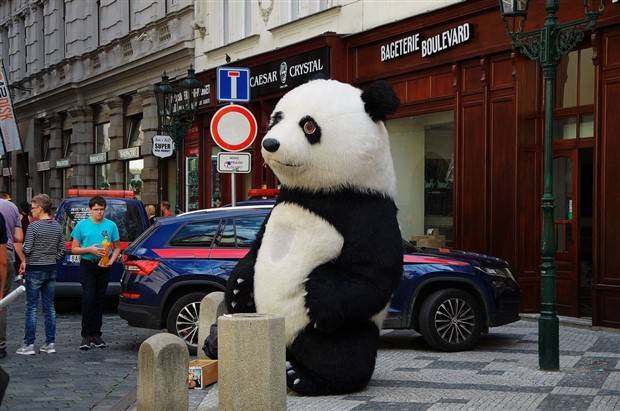 Klyker Picdump #1338 (53 photos)