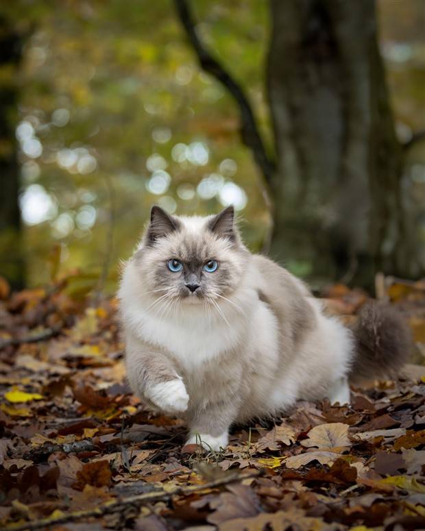 Klyker Picdump #1338 (53 photos)