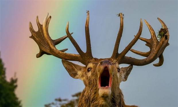 Klyker Picdump #1338 (53 photos)