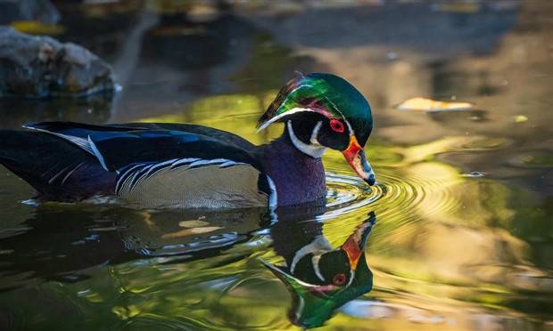 Klyker Picdump #1338 (53 photos)