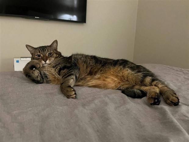 Klyker Picdump #1338 (53 photos)