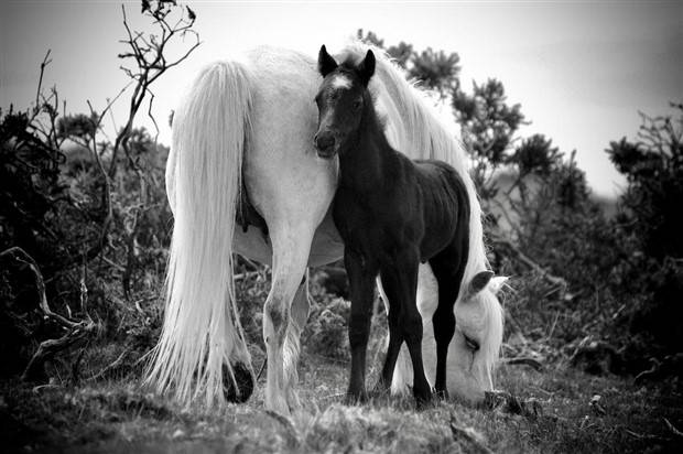 Klyker Picdump #1338 (53 photos)