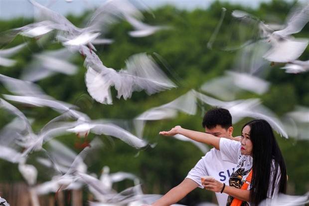 Klyker Picdump #1338 (53 photos)