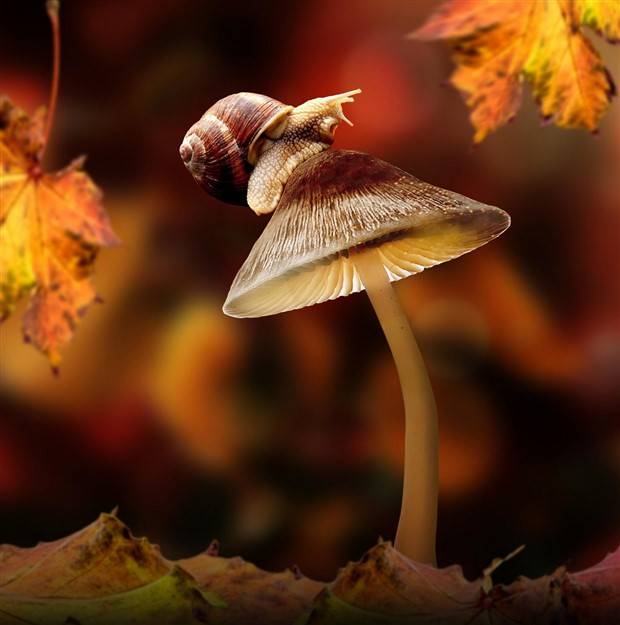 Klyker Picdump #1338 (53 photos)