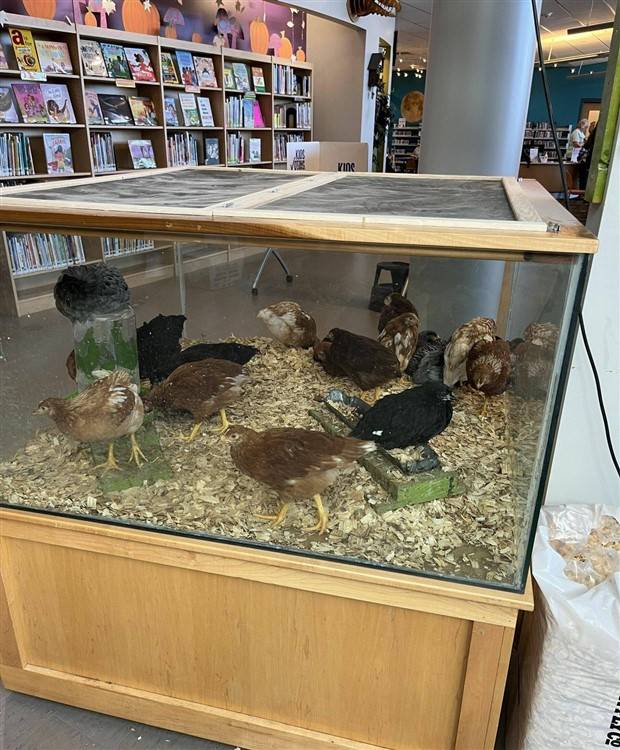 Klyker Picdump #1338 (53 photos)