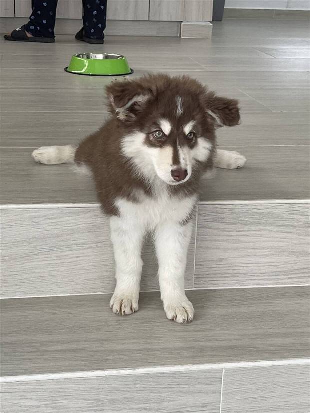 Klyker Picdump #1328 (53 photos)