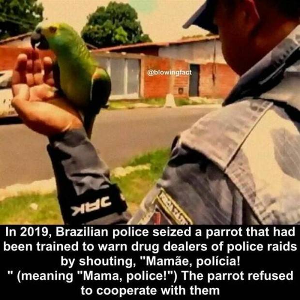 It’s Time for Some Cool and Interesting Facts #353 (39 photos)