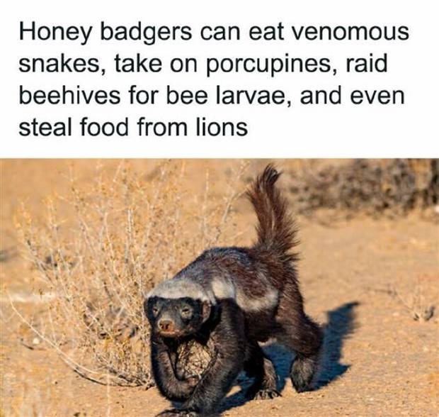 It’s Time for Some Cool and Interesting Facts #353 (39 photos)