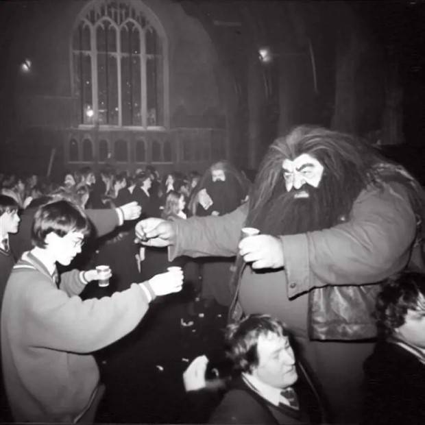 Hogwarts Rave Captured by AI (17 photos)