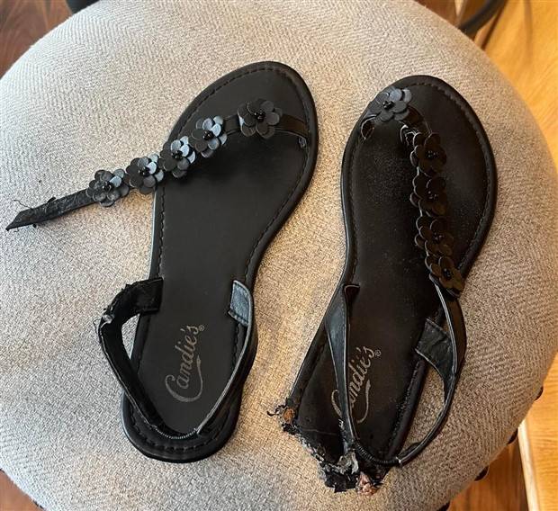 Shit Happens Regularly, Get Used To It #252 (35 photos)