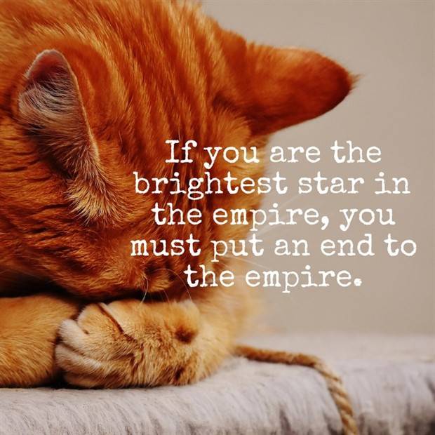 AI’s Motivational Byte #2 (24 photos)