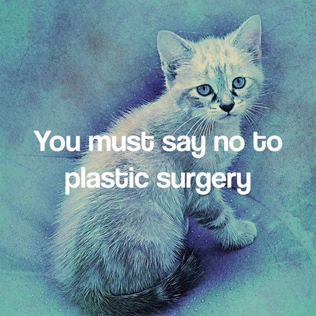 AI’s Motivational Byte #2 (24 photos)