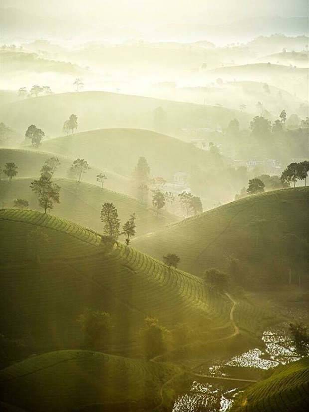 30 Amateur Snaps That Redefine Photography (30 photos)