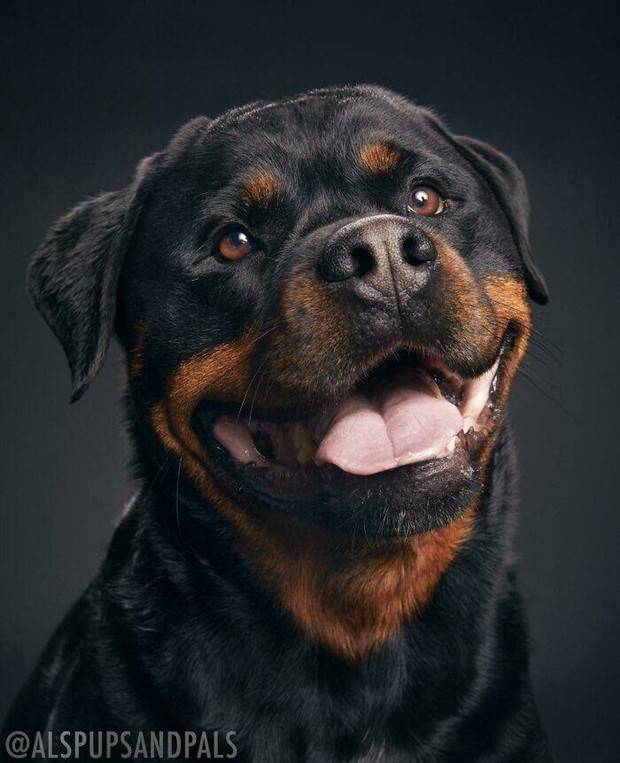 30 Amateur Snaps That Redefine Photography (30 photos)