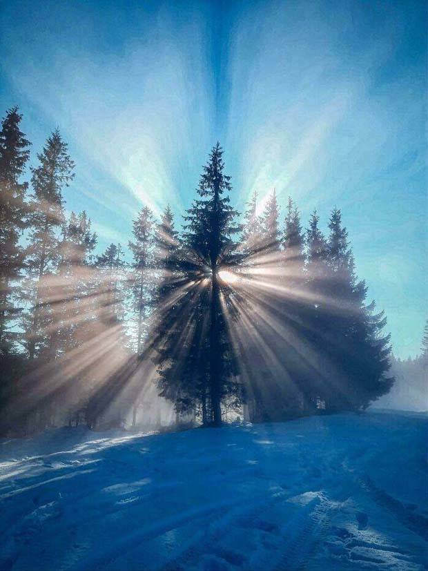 30 Amateur Snaps That Redefine Photography (30 photos)