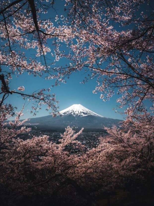 30 Amateur Snaps That Redefine Photography (30 photos)