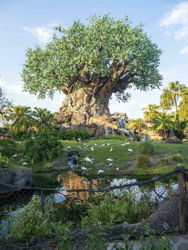 30 Amateur Snaps That Redefine Photography (30 photos)