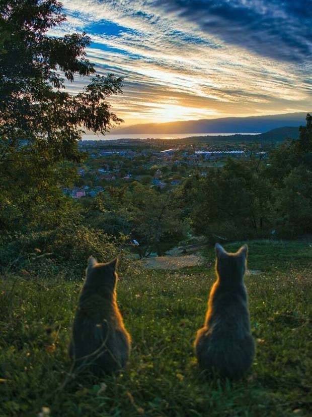 30 Amateur Snaps That Redefine Photography (30 photos)