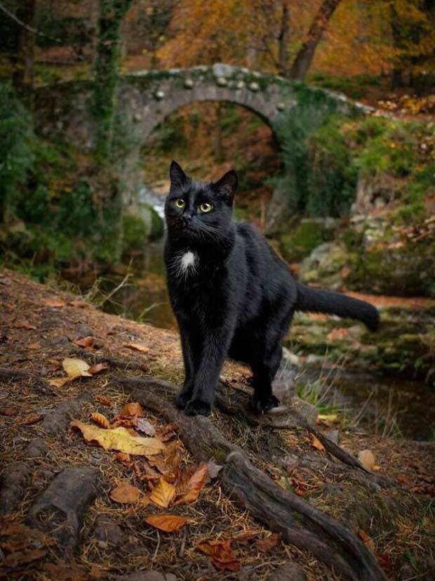 30 Amateur Snaps That Redefine Photography (30 photos)