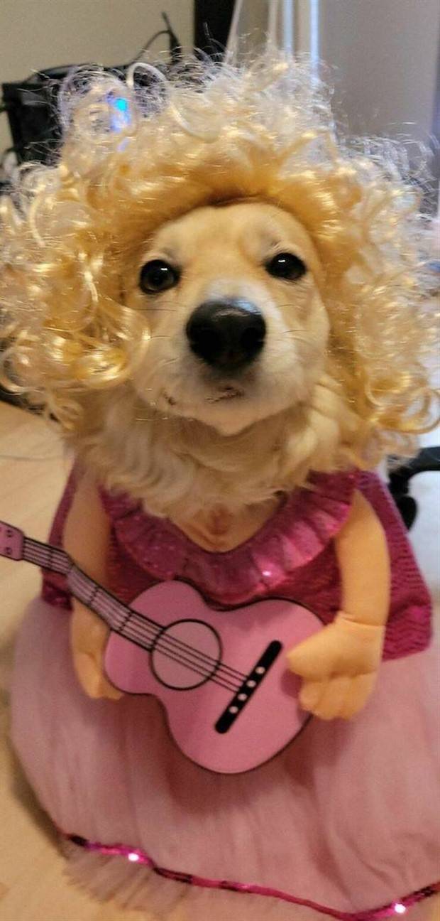 Get Ready for Funny Animals #313 (35 photos)