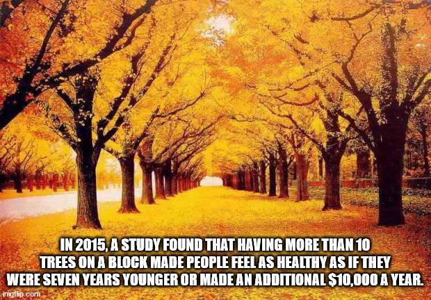 It’s Time for Some Cool and Interesting Facts #355 (31 photos)
