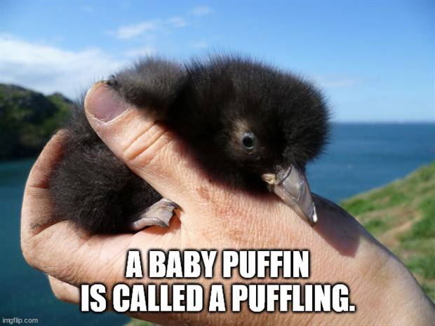 It’s Time for Some Cool and Interesting Facts #355 (31 photos)