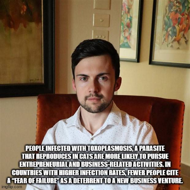 It’s Time for Some Cool and Interesting Facts #355 (31 photos)