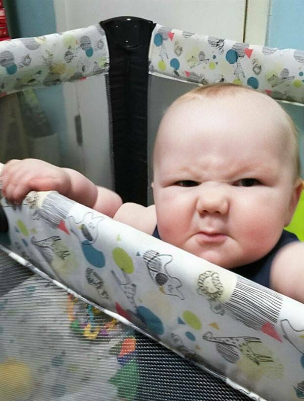 46 Babies Looking Like Theyve Seen It All (46 photos)