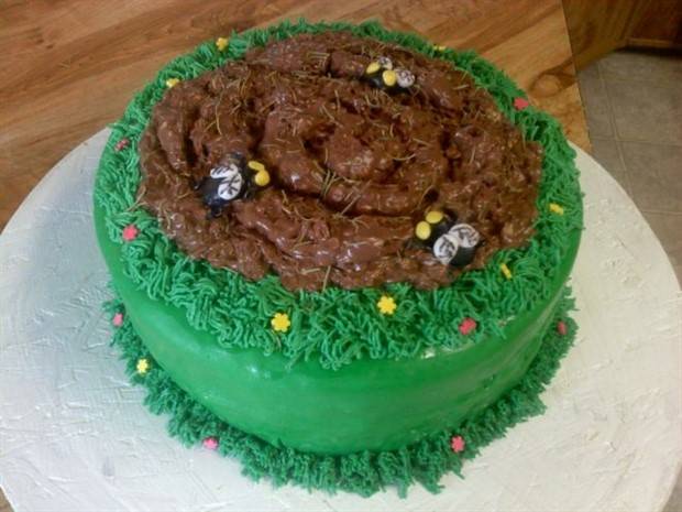 cake fails 8 27 Cakes That Dont Look Appealing (27 photos)