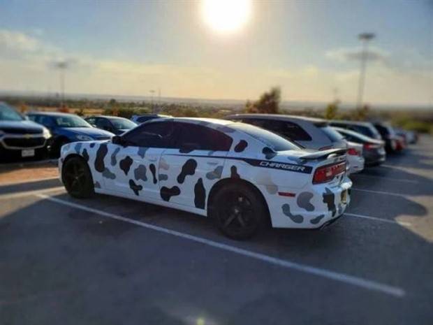 crazy cars 8 Strange Cars That Will Leave You In Awe #17 (30 photos)