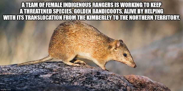 It’s Time for Some Cool and Interesting Facts #356 (35 photos)