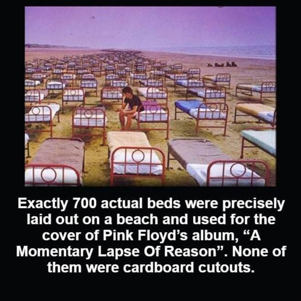 It’s Time for Some Cool and Interesting Facts #356 (35 photos)