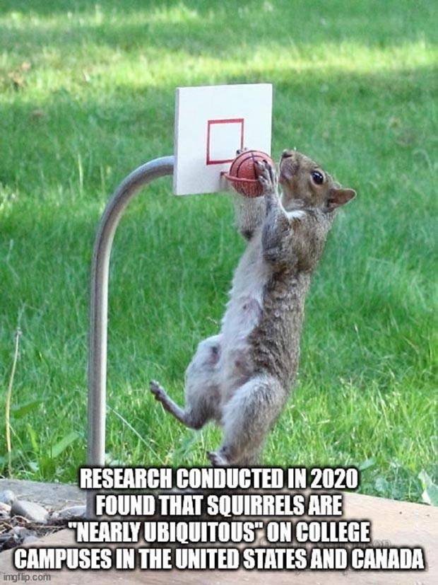 It’s Time for Some Cool and Interesting Facts #356 (35 photos)