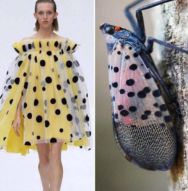fashion and nature 1 Fashion Design Infused with Natural Patterns (26 photos)