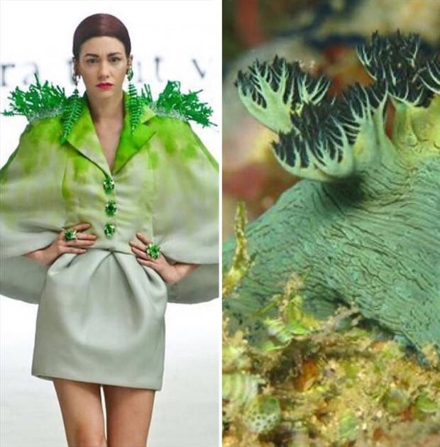 fashion and nature 2 Fashion Design Infused with Natural Patterns (26 photos)