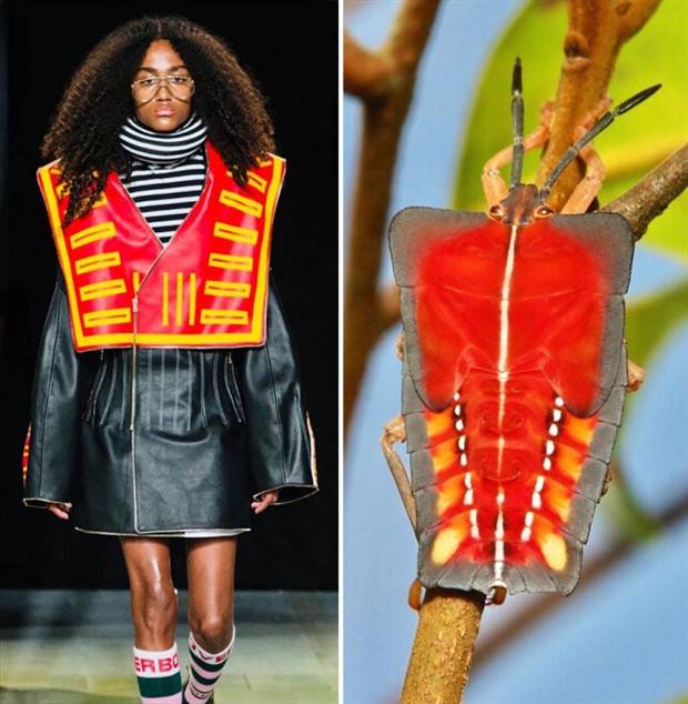 fashion and nature 3 Fashion Design Infused with Natural Patterns (26 photos)