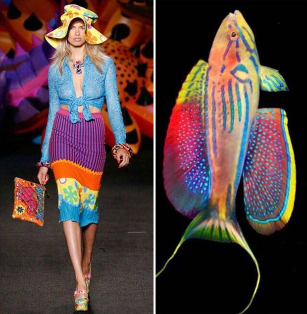 fashion and nature 4 Fashion Design Infused with Natural Patterns (26 photos)