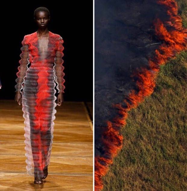 fashion and nature 5 Fashion Design Infused with Natural Patterns (26 photos)