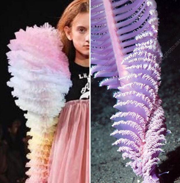 fashion and nature 6 Fashion Design Infused with Natural Patterns (26 photos)