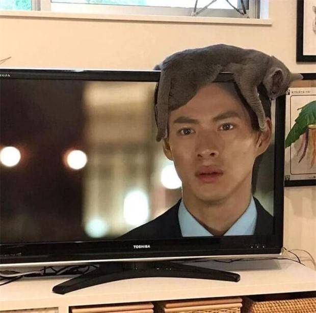 funny headware 34 Topper Tango: Hilarious Headwear Hijinks! (36 photos)