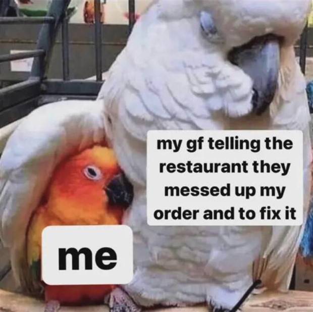 Funny Pics and Memes to Make You Laugh #83 (36 photos)