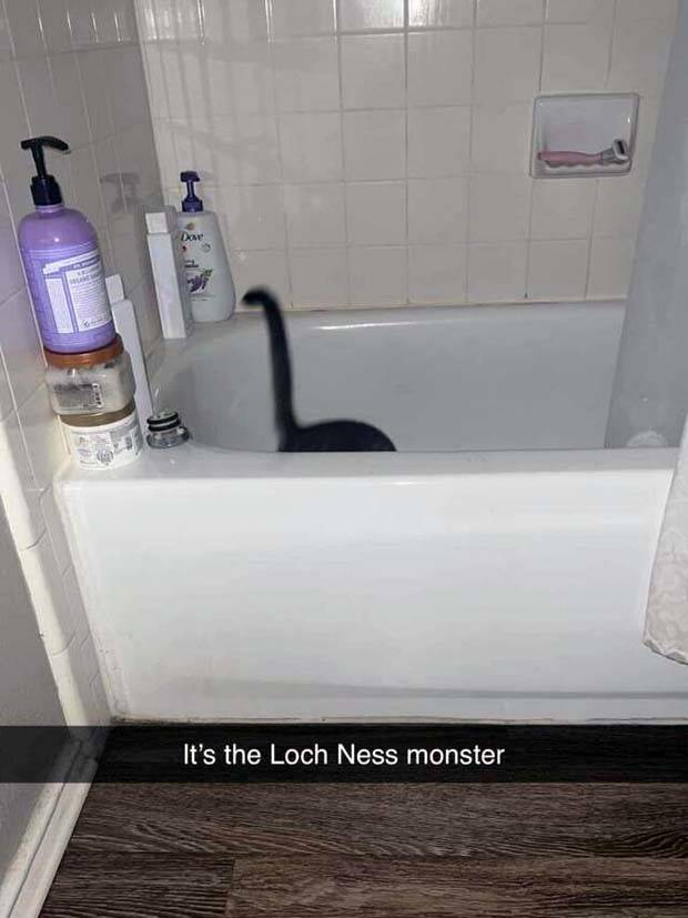 Funny Pics and Memes to Make You Laugh #83 (36 photos)